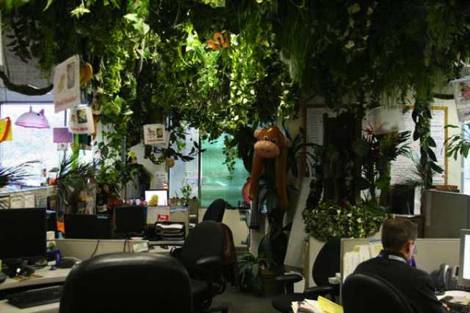 Zappos Forest Office