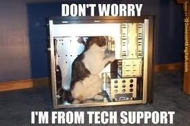 customer support tech support cat